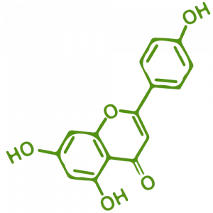 Chez Verderevita, on l'apigénine qui est un flutiliseavonoïde naturellement présent dans diverses plantes, connu pour ses propriétés antioxydantes et anti-inflammatoires.